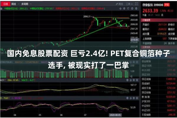 国内免息股票配资 巨亏2.4亿! PET复合铜箔种子选手, 被现实打了一巴掌