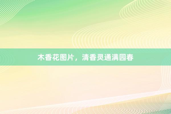 木香花图片，清香灵通满园春